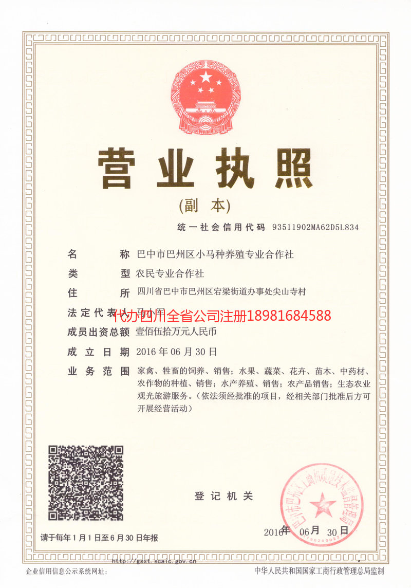 石柱石柱小马种养殖专业合作社